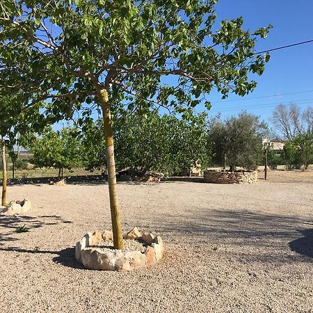 Caseta Les Creus ริวมาร์ ภายนอก รูปภาพ